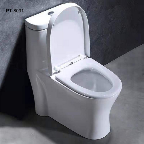 North American Toilet