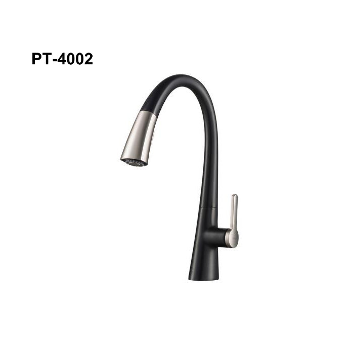 Spot Free Dual Function Kitchen Faucet, Stainless Steel/Matte Black